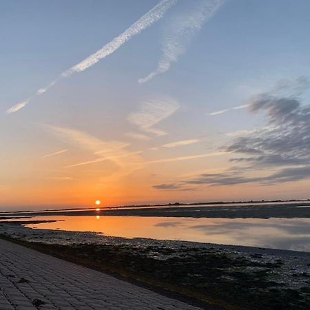 Vakantiewoning De Bosrand Aan Zee Sint Annaland Dış mekan fotoğraf