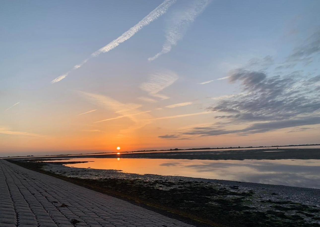 Vakantiewoning De Bosrand Aan Zee Sint Annaland Dış mekan fotoğraf