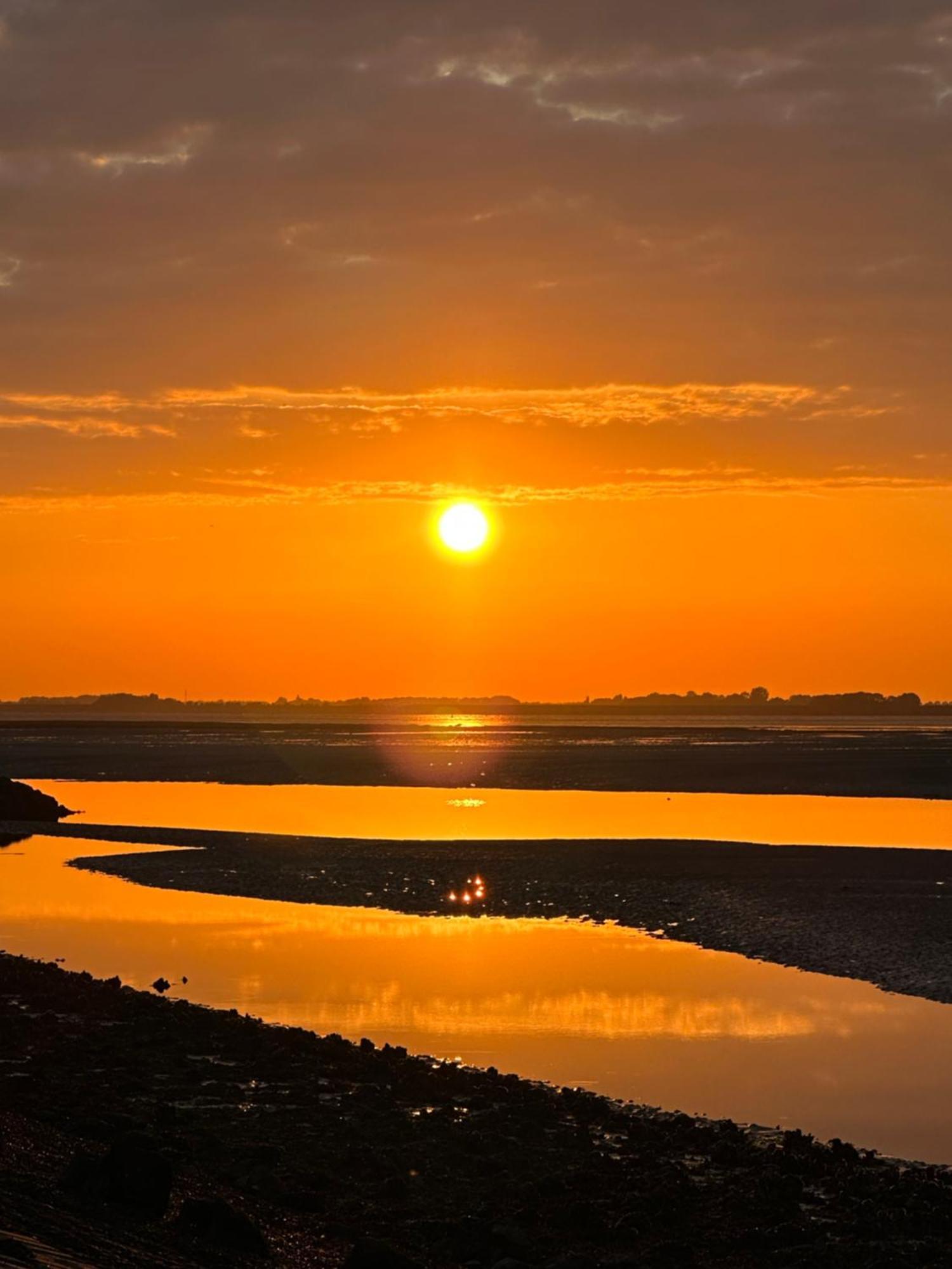 Vakantiewoning De Bosrand Aan Zee Sint Annaland Dış mekan fotoğraf