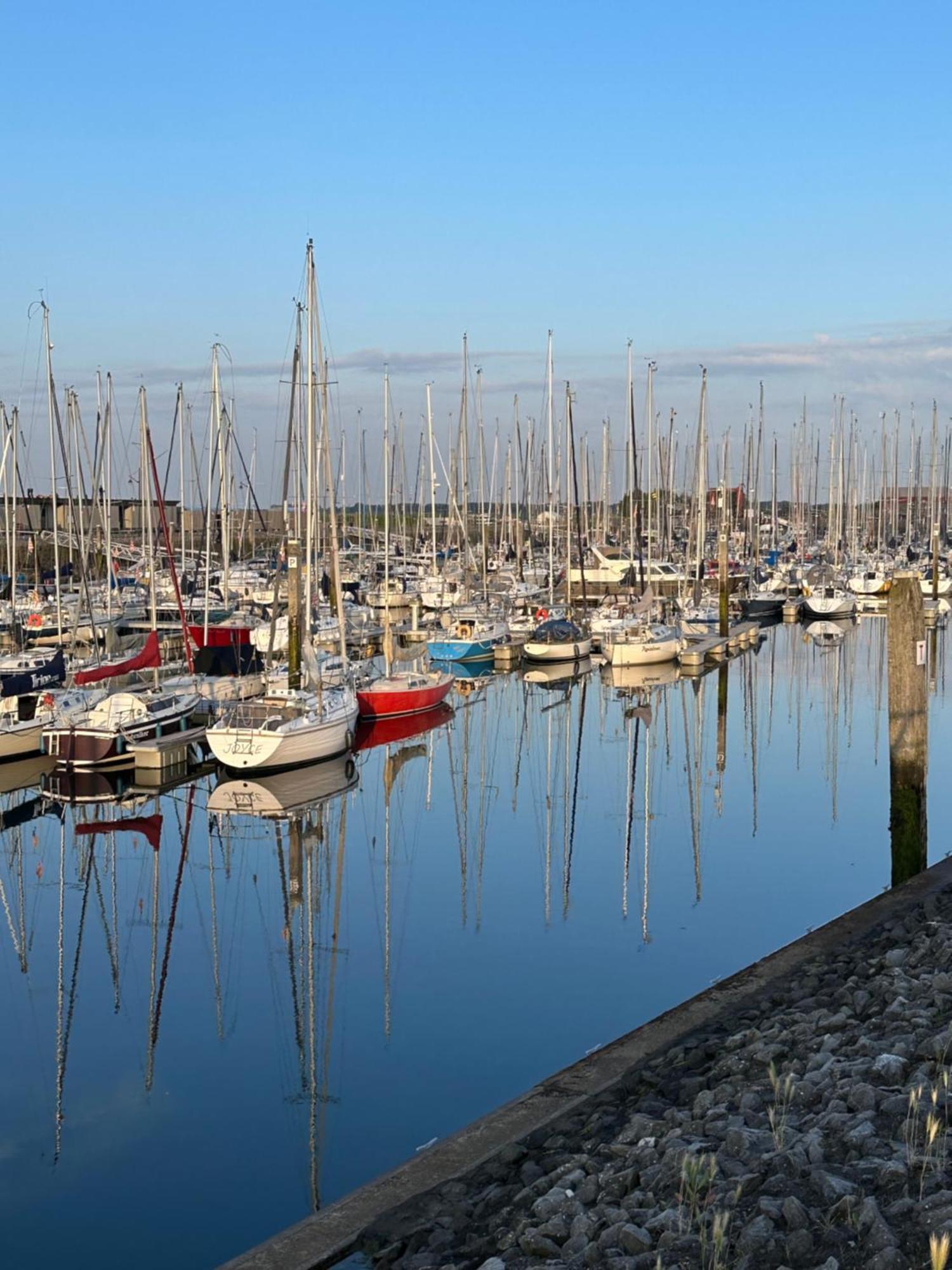 Vakantiewoning De Bosrand Aan Zee Sint Annaland Dış mekan fotoğraf
