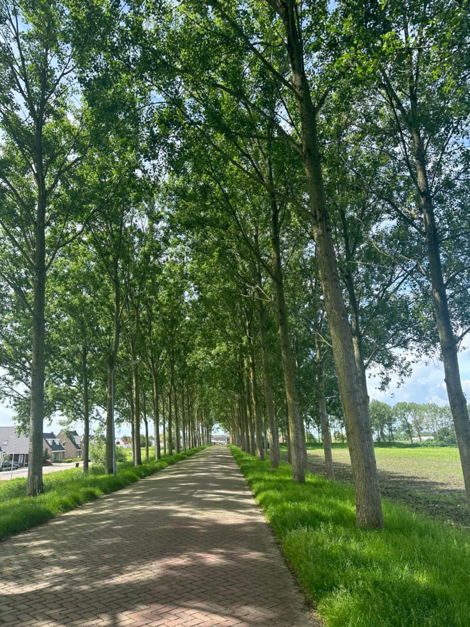 Vakantiewoning De Bosrand Aan Zee Sint Annaland Dış mekan fotoğraf